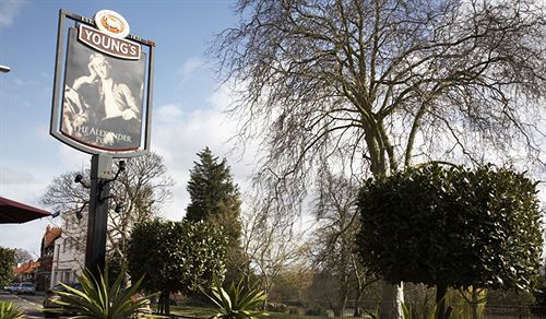 The Alexander Pope Twickenham